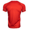 FEFLOGX Sportswear Prime Funktionsshirt Mesh, rot. Sport-Shirt für Fitness & Kampfsport, hintere Ansicht. Sportkleidung Herren.
