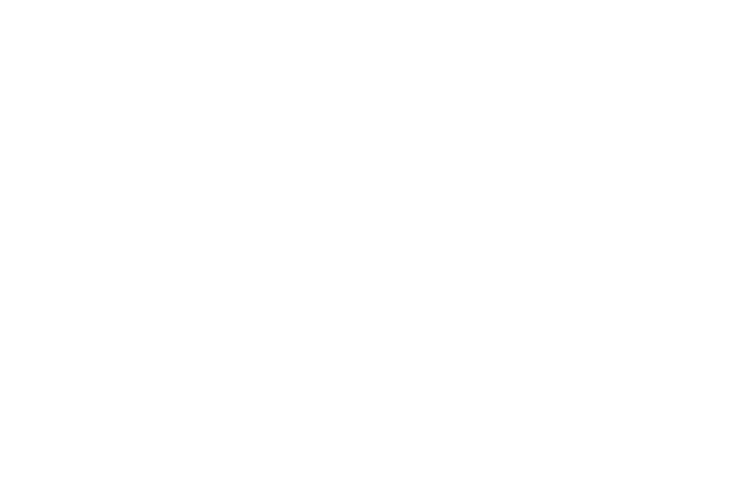 FEFLOGX Sportswear einfarbiges Logo in weiß (AI-Datei).