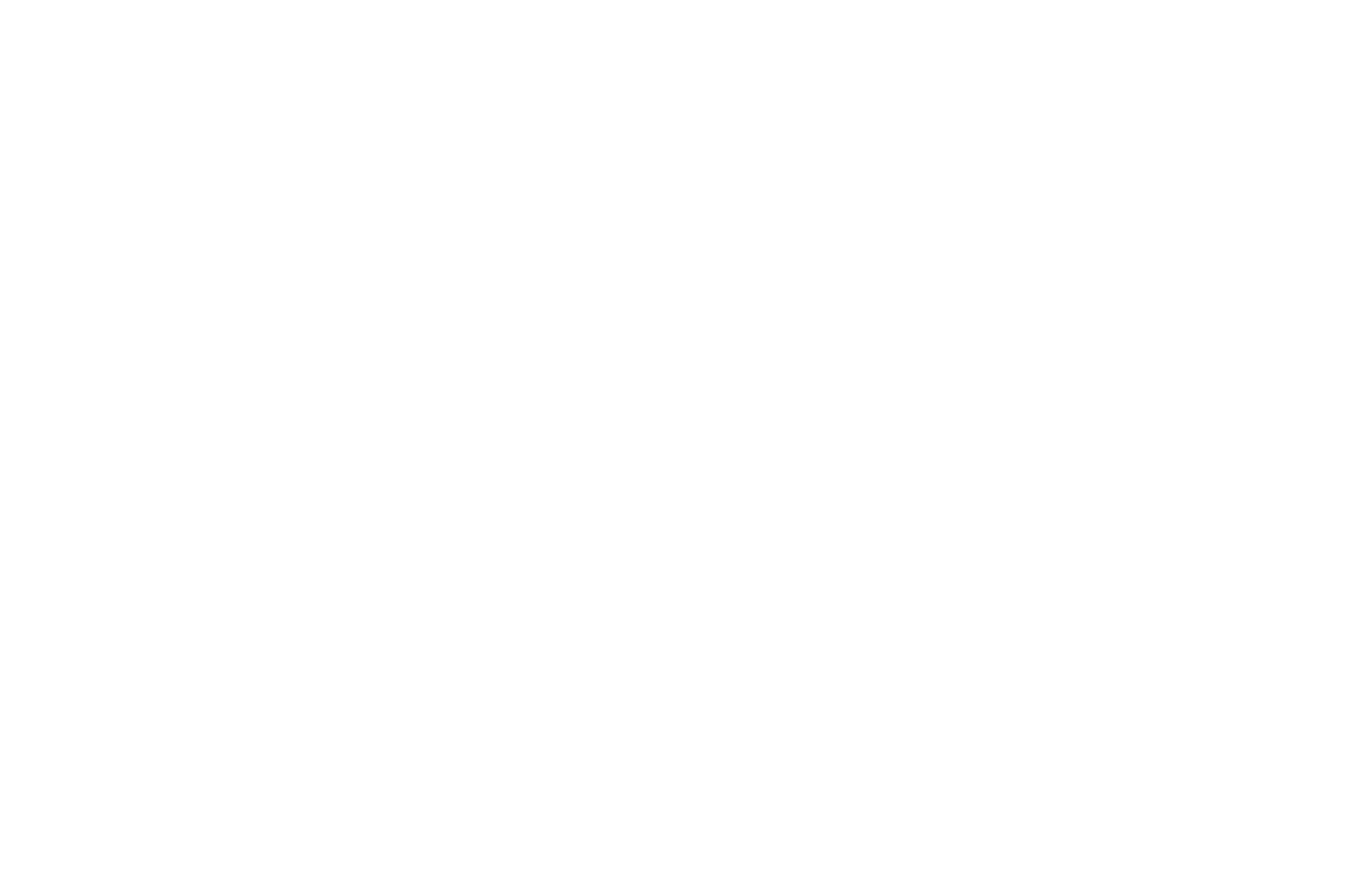 FEFLOGX Sportswear einfarbiges Logo in weiß (AI-Datei).