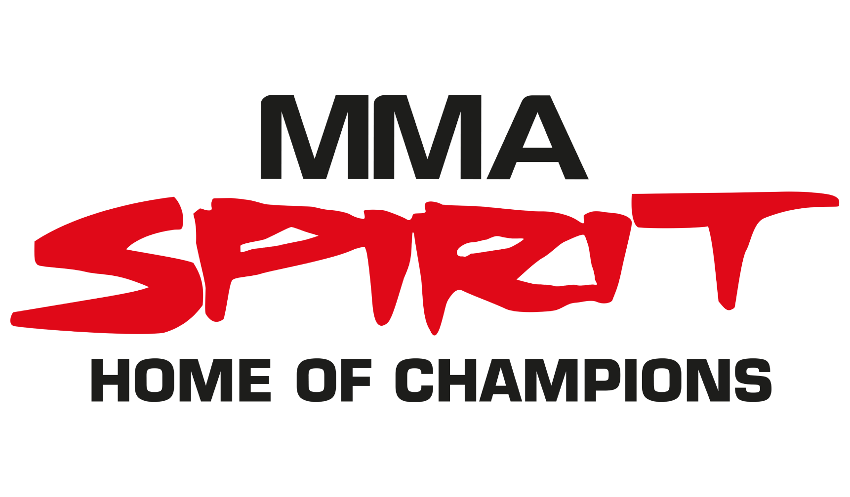 Logo des Kampfsport-Studios/MMA-Studios/Gym, MMA Spirit aus Frankfurt am Main - Home of Champions, Partner von FEFLOGX Sportswear.