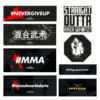 FEFLOGX Sportswear Sticker, Aufkleber, Autoaufkleber, Label. Fighter, Kampfsport, Functional Fitness, Crossfit, MMA, Mixed-Martial-Arts, chinesiche Schrift für FEFLOGX. Gorilla, Oktagon, Straight outta Arsch gefurzt.