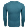 FFX Körperbetontes Sport Sweatshirt Performance Comfort von FEFLOGX Sportswear. Extrem hochwertig, super bequem, unglaublich gemütlicher Stoff & erstklassige Passform, Sport Sweatshirt, Sweatshirt, Sport Oberteil, Longsleeve Shirt, langes Sportshirt, Sport Pullover, Farben: grau, schwarz & blaugrün. hintere Ansicht der blau-grünen Farbe.